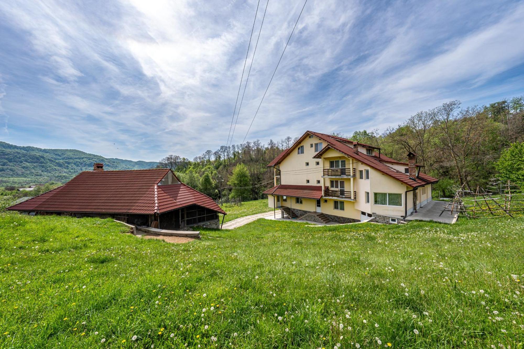 Pensiunea Tiuta Corbeni Exterior foto