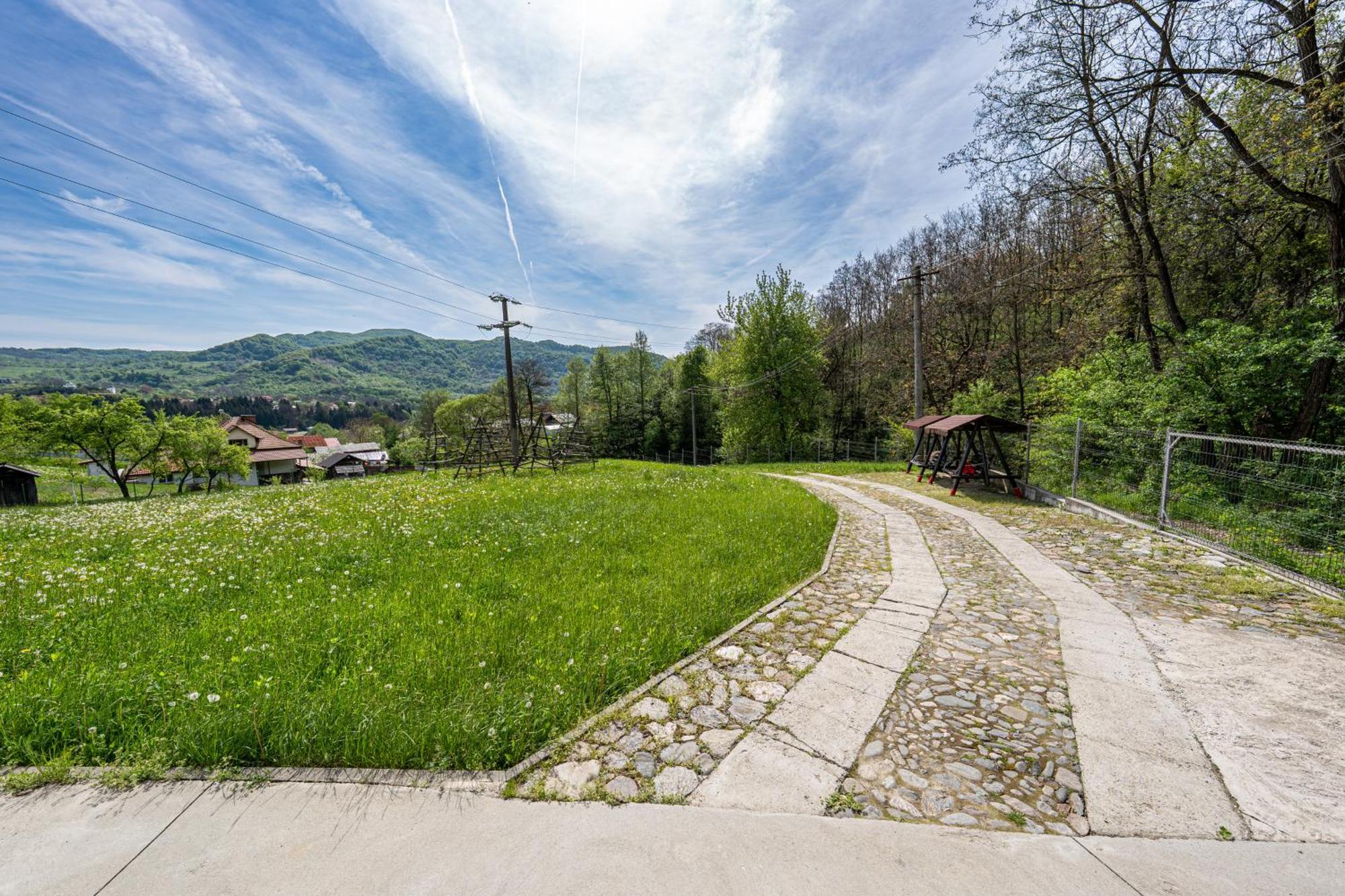 Pensiunea Tiuta Corbeni Exterior foto