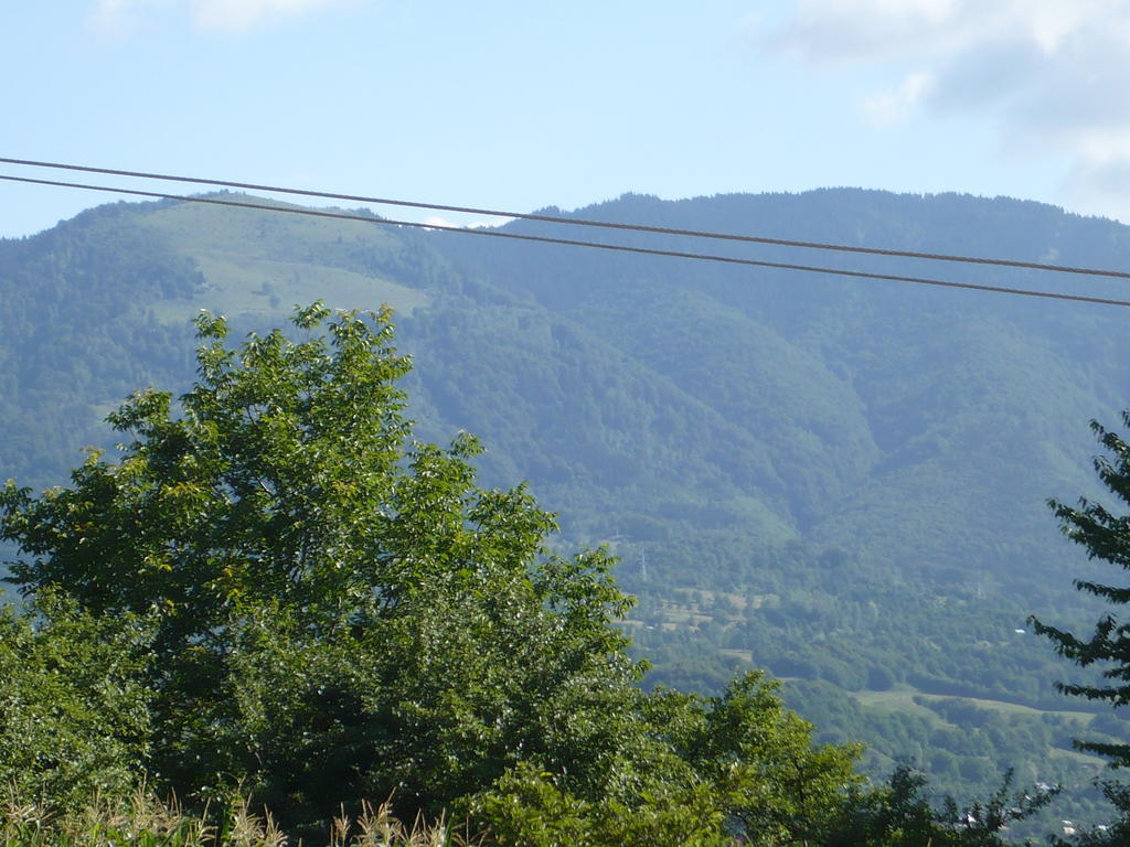 Pensiunea Tiuta Corbeni Exterior foto